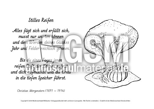 M-Stilles-Reifen-Morgenstern.pdf